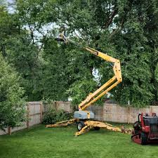Reliable Woodbridge, CA Tree Care Solutions