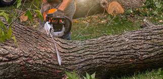 Best Weed Control  in Woodbridge, CA